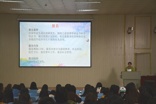 bw必威阿森纳召开2019届毕业生就业指导会